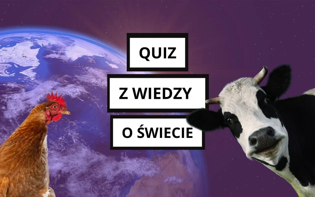 Sprawdź się w naszym teście z wiedzy ogólnej. Niektóre pytania mogą szokować Sprawdź się w naszym teście z wiedzy ogólnej. Niektóre pytania mogą szokować