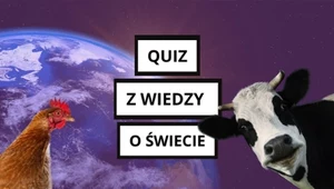 Quiz: Rzadko znane ciekawostki ze świata. Sprawdź, czy je znasz