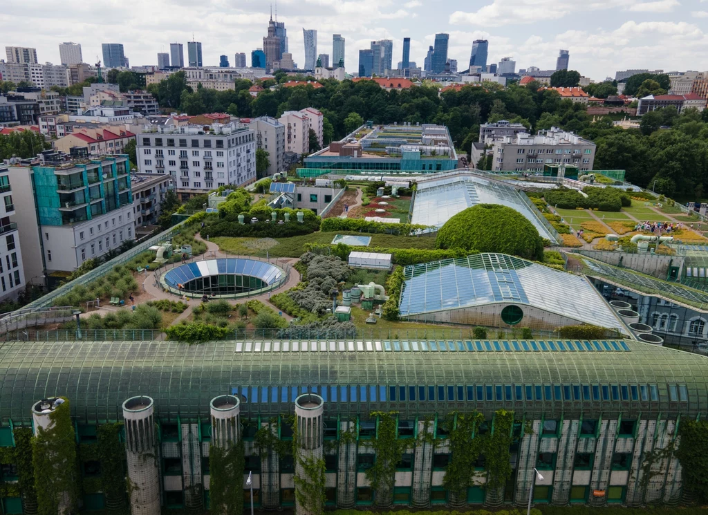Zielony dach Biblioteki Uniwersyteckiej w Warszawie z rozbudowaną roślinnością, szklarnie i szklane kopuły, otaczające budynki mieszkalne oraz panorama centrum Warszawy z widocznymi wieżowcami w tle.