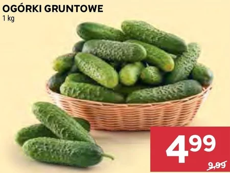 Огірки