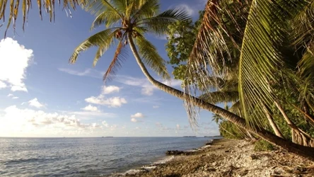 Tuvalu może zniknąć z mapy świata. Powodem zmiany klimatu