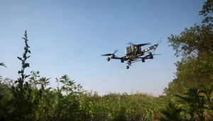 Organizują masowe szkolenia z obsługi dronów. Nie tylko dla dorosłych