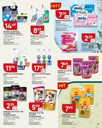 Letnie smaki w twoim koszyku - Chata Polska