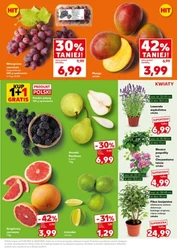Mocny Start! - Kaufland