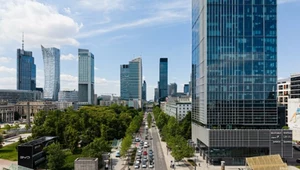 Dlaczego Polska ma tak wysoki deficyt? "Mamy słonia w pokoju"