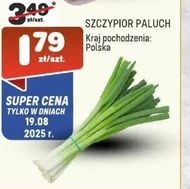 Цибуля
