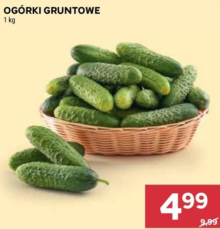 Ogórki
