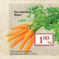 Морквина Wigant