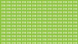 Znajdziesz 313 w mniej niż 10 sekund? Wyzwanie tylko dla bystrzaków 