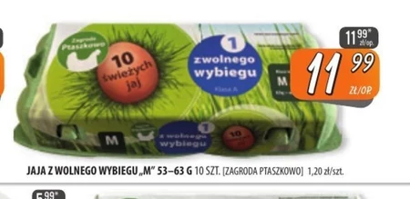 Jaja Zagroda Ptaszkowo