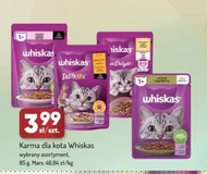 Корм для котів Whiskas