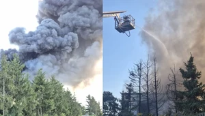 Płonie hala przemysłowa pod Ciechocinkiem 