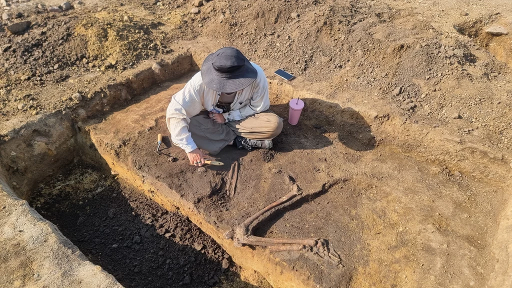 Archeolog pracujący przy odkopywaniu ludzkiego szkieletu w wykopie, wokół narzędzia badawcze oraz pojemnik na wodę.