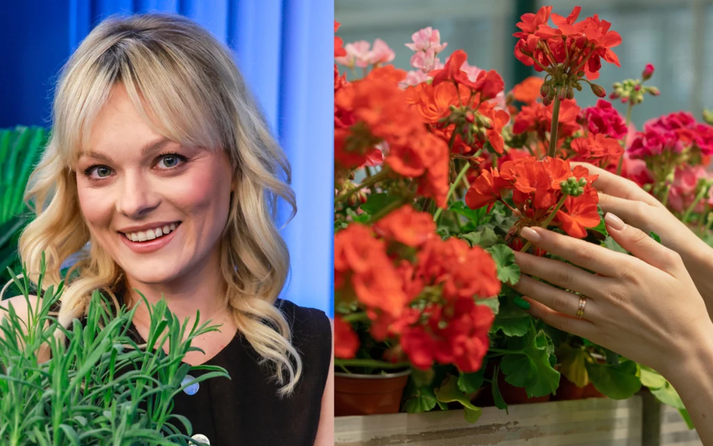 Kasia Joda radzi, jak zadbać o rośliny balkonowe w sierpniu, aby wypiękniały