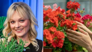 Kasi Jody sierpniowe SPA dla balkonu i tarasu, czyli jak tchnąć drugie życie w letnie rośliny