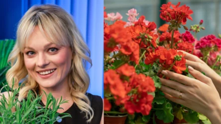 Kasi Jody sierpniowe SPA dla balkonu i tarasu, czyli jak tchnąć drugie życie w letnie rośliny