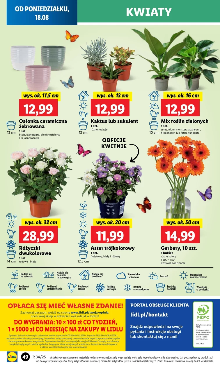leaflet page preview image