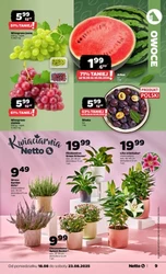 80% taniej! - Netto