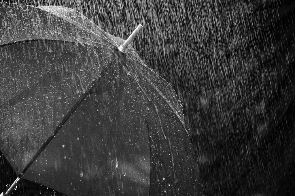 Fot. pixabay.com/Bru-nO