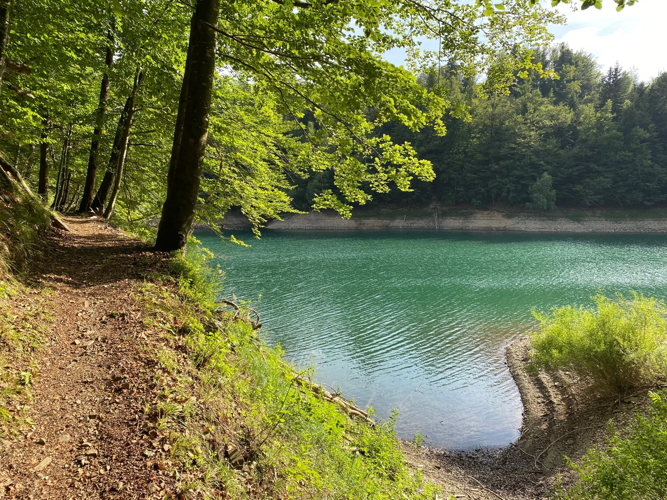 Beskid Śląski obfituje w wiele szlaków turystycznych, jeden z spokojniejszych prowadzi na górę Tuł 