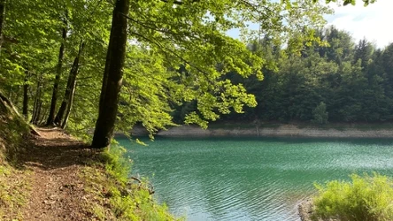 Beskid Śląski obfituje w wiele szlaków turystycznych, jeden z spokojniejszych prowadzi na górę Tuł 