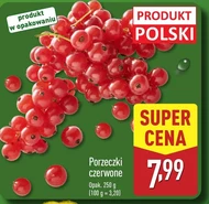 Смородина