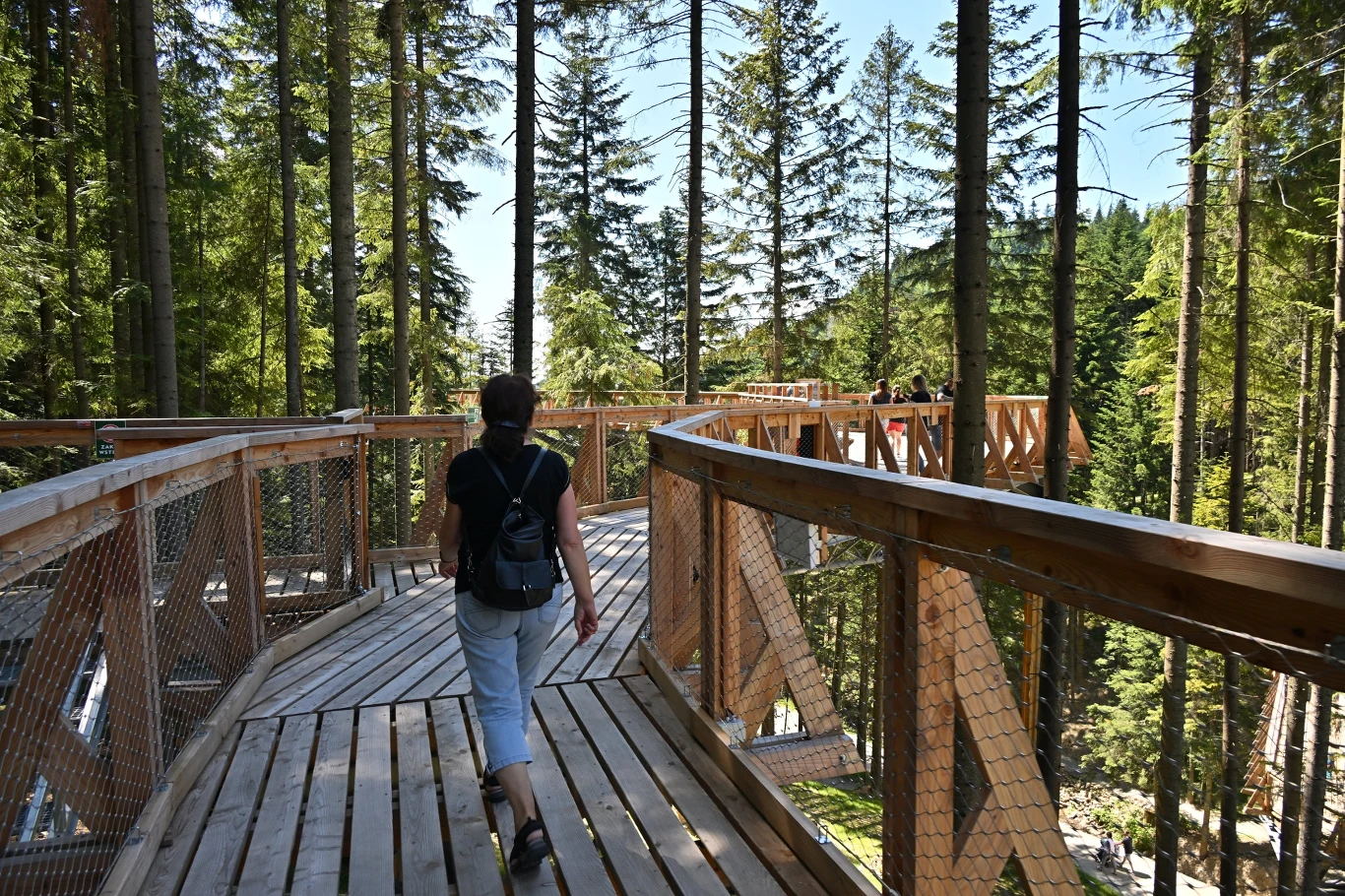 Najdłuższa ścieżka w koronach drzew mieści się w Waksmundzie. Co wiadomo na temat "Bramy w Gorce"?