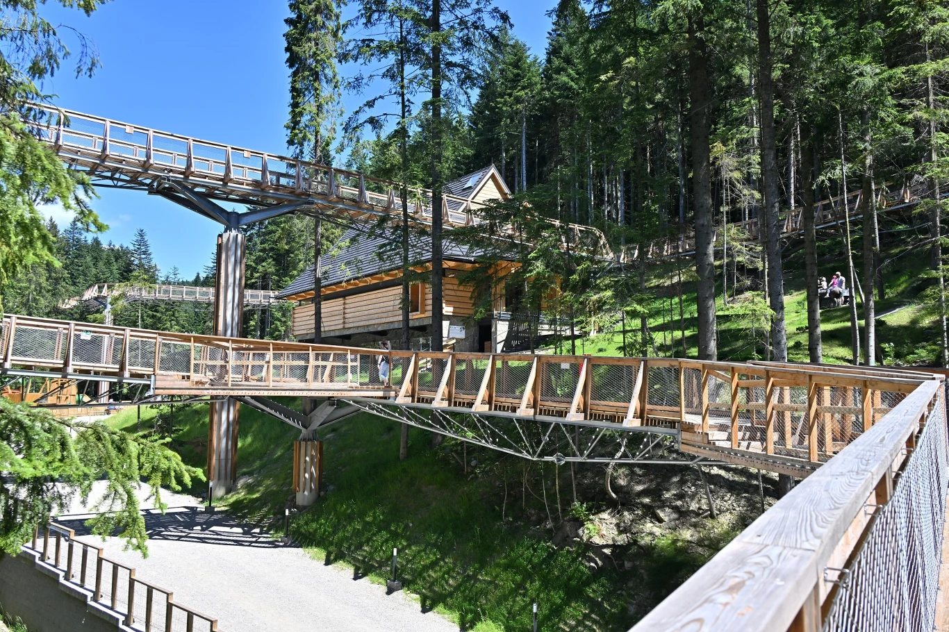 Brama w Gorce to ścieżka w koronach drzew z dwoma wieżami widokowymi, o łącznej długości równej 1300 m.