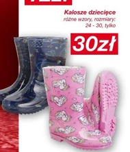 Веллінгтони