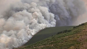 Pożar w rejonie Castrillo de Cabrera na północnym zachodzie Hiszpanii. W ostatnich dniach tam oraz w sąsiedniej Portugalii zginęło dwóch strażaków
