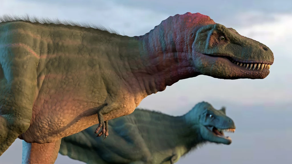 Tyranozaur złamał żebro, ale zaczynało się goić. Widać to skamieniałościach Dwa dinozaury tyranozaury przemieszczające się w naturalnym środowisku z otwartymi paszczami, widoczne ich masywne sylwetki i szczegółowo odwzorowana skóra.