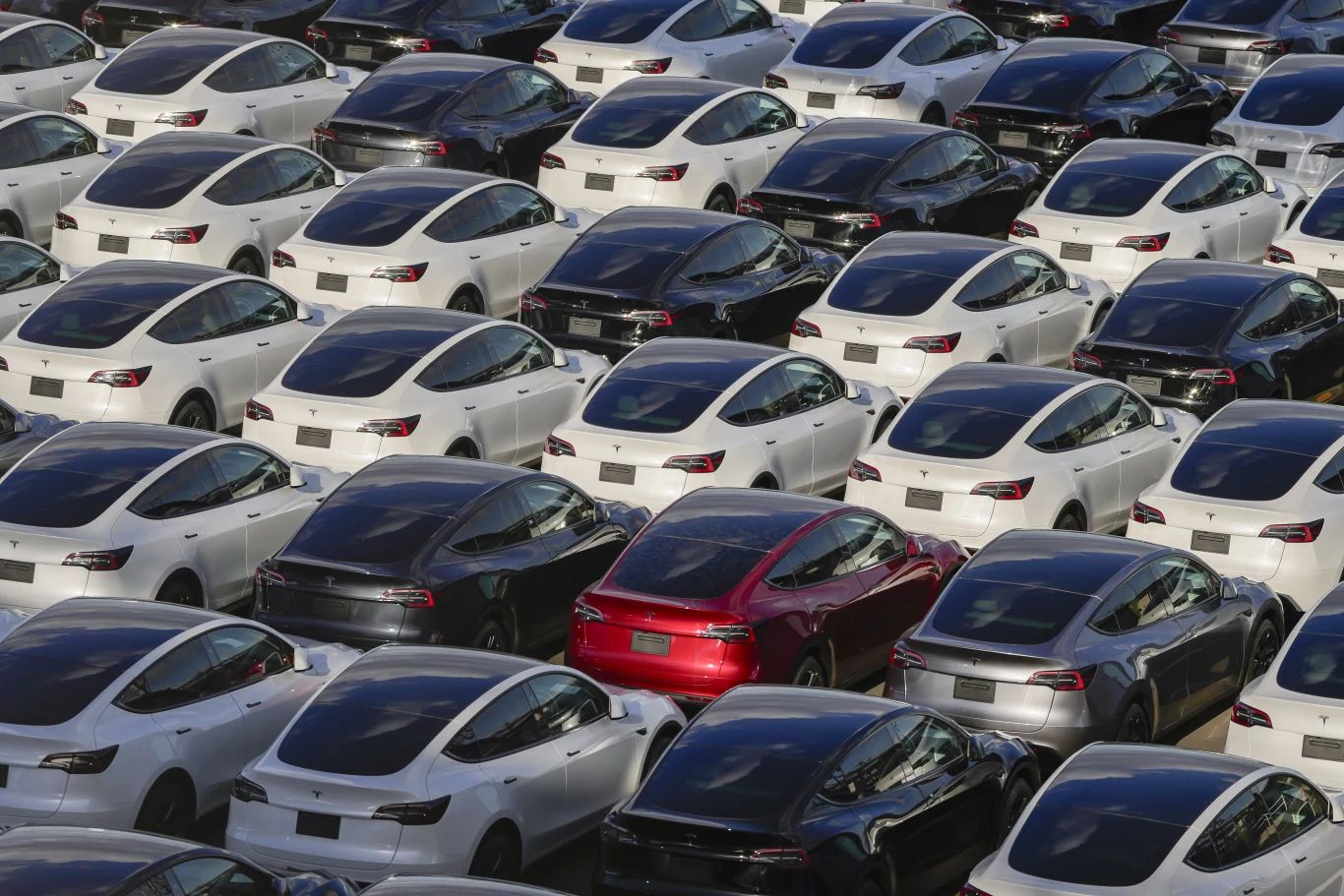 Tesla obniża koszty leasingu w Wielkiej Brytanii. Auta zalegają w magazynach Duża liczba białych i czarnych samochodów elektrycznych zaparkowanych w rzędach na otwartym parkingu, wyróżnia się jeden czerwony pojazd wśród jednolitych kolorów.