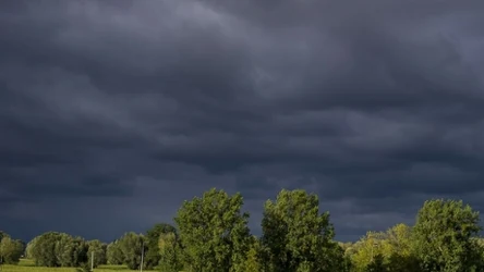 Czy technologia zasiewania chmur uratuje nas przed suszą?