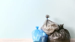 Nowe kolory worków na śmieci. Gminy wprowadzają istotne zmiany 