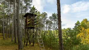 Jest wniosek o areszt dla 40-latka podejrzanego o zabójstwo człowieka podczas polowania