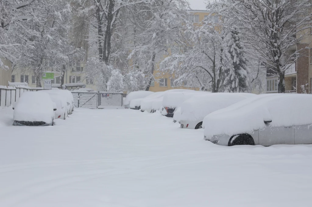 Samochody pokryte grubą warstwą śniegu na osiedlowym parkingu, w tle stojące drzewa i budynki mieszkalne, całość otulona świeżo padającym śniegiem