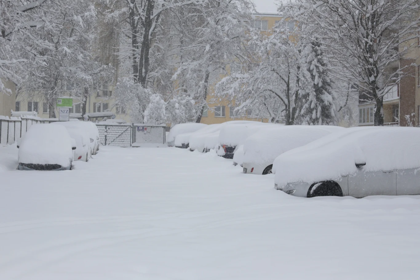 Samochody pokryte grubą warstwą śniegu na osiedlowym parkingu, w tle stojące drzewa i budynki mieszkalne, całość otulona świeżo padającym śniegiem