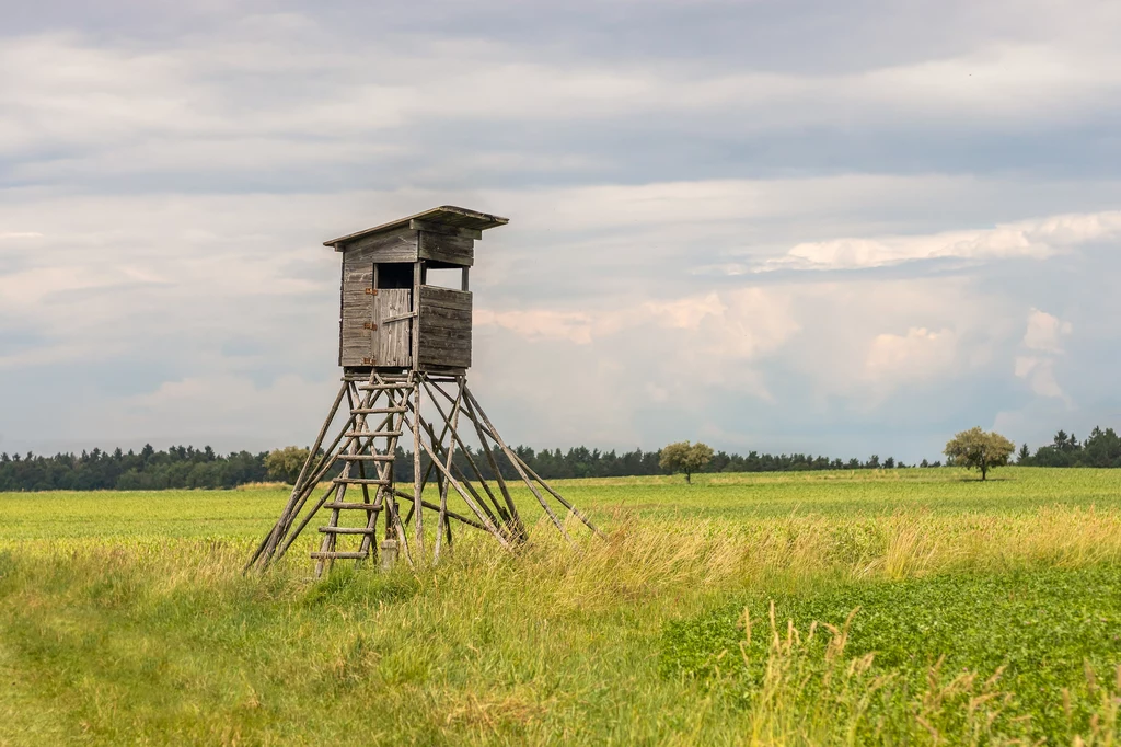 Prokuratura zdradziła nowe ustalenia ws. 40-latka, który śmiertelnie postrzelił swojego sąsiada Prokuratura zdradziła nowe ustalenia ws. 40-latka, który śmiertelnie postrzelił swojego sąsiada