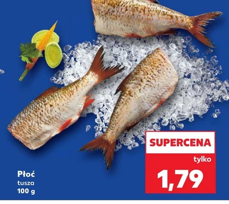 Płoć