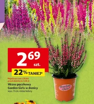 Wrzos Gardenic