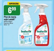 Płyn do mycia szyb Ludwik