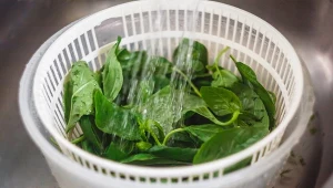 Zanim zrobisz oliwę bazyliową, dokładnie umyj świeże liście