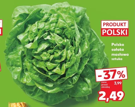 Масляний салат Polski