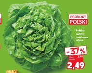 Масляний салат Polski