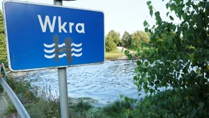 Śnięte ryby na Wkrze. Wody Polskie wskazały przyczynę