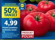 Помідори Polski