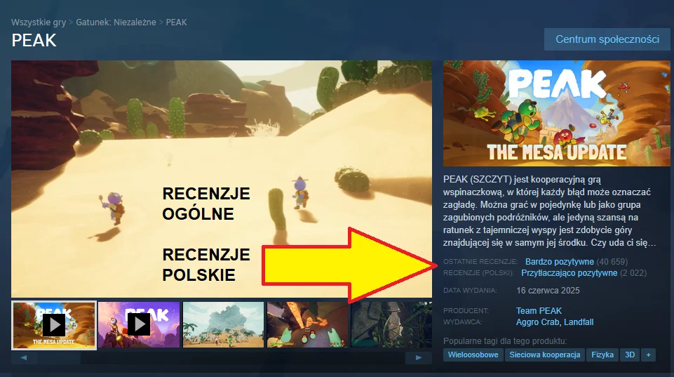 Ekran z platformy Steam prezentujący grę wideo z widokiem postaci przemierzających kolorową, pustynną scenerię, po lewej stronie widoczne zrzuty ekranu i filmy z gry, po prawej opis gry i aktualizacji, na środku duża żółta strzałka wskazująca miejsce r...