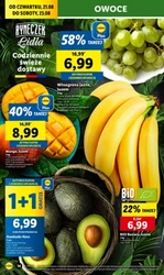 Hitowe produkty na start - Lidl