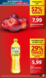 Hitowe produkty na start - Lidl