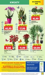 Hitowe produkty na start - Lidl